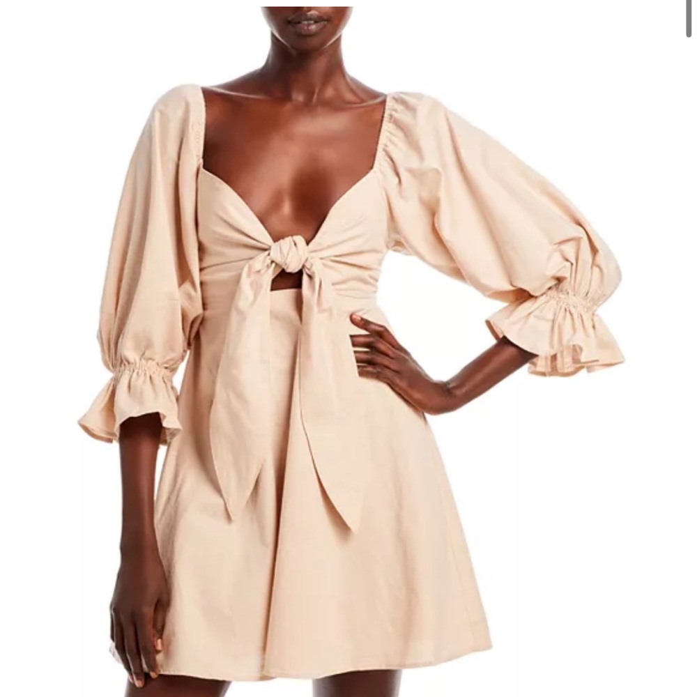 Charlie Holiday Dress 4